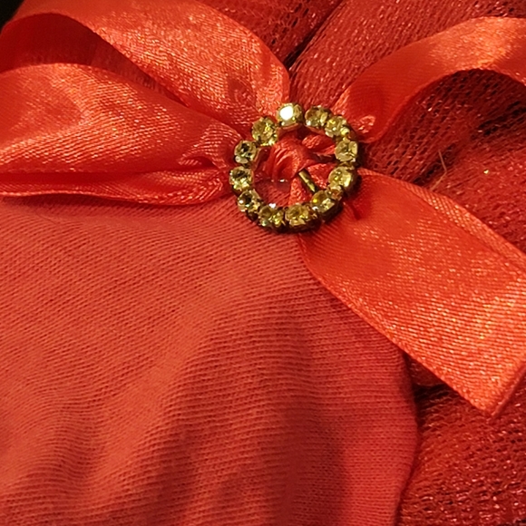 Dog Dress - Picture 6 of 7